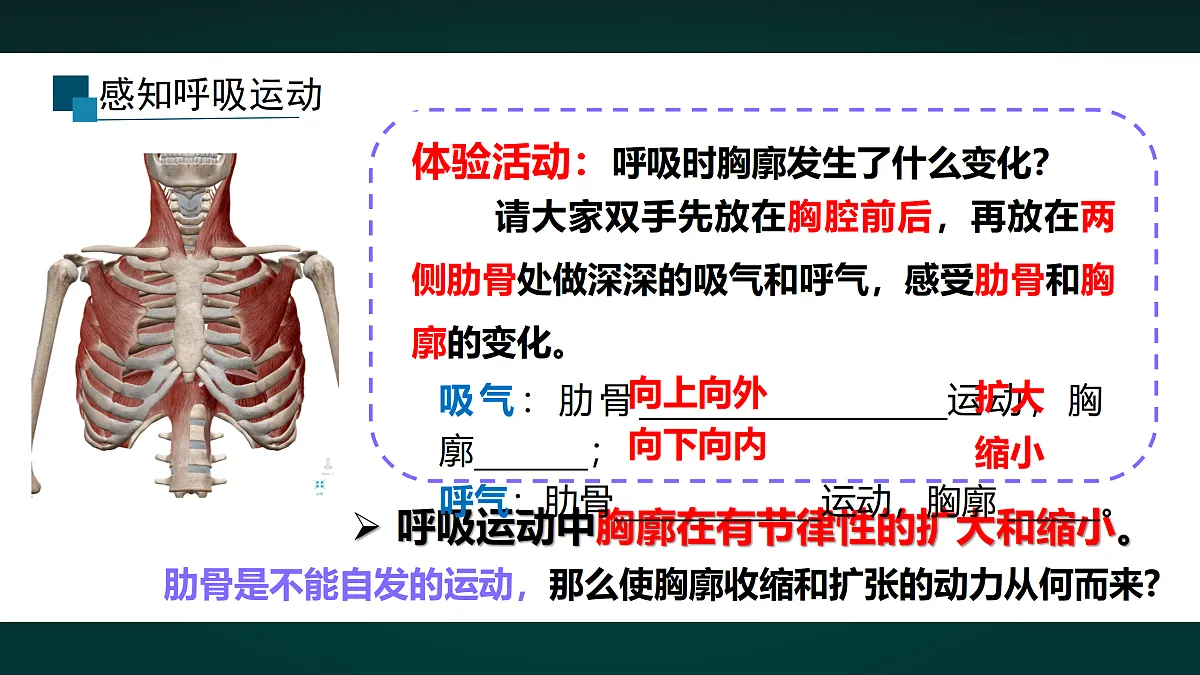 17991884第6页