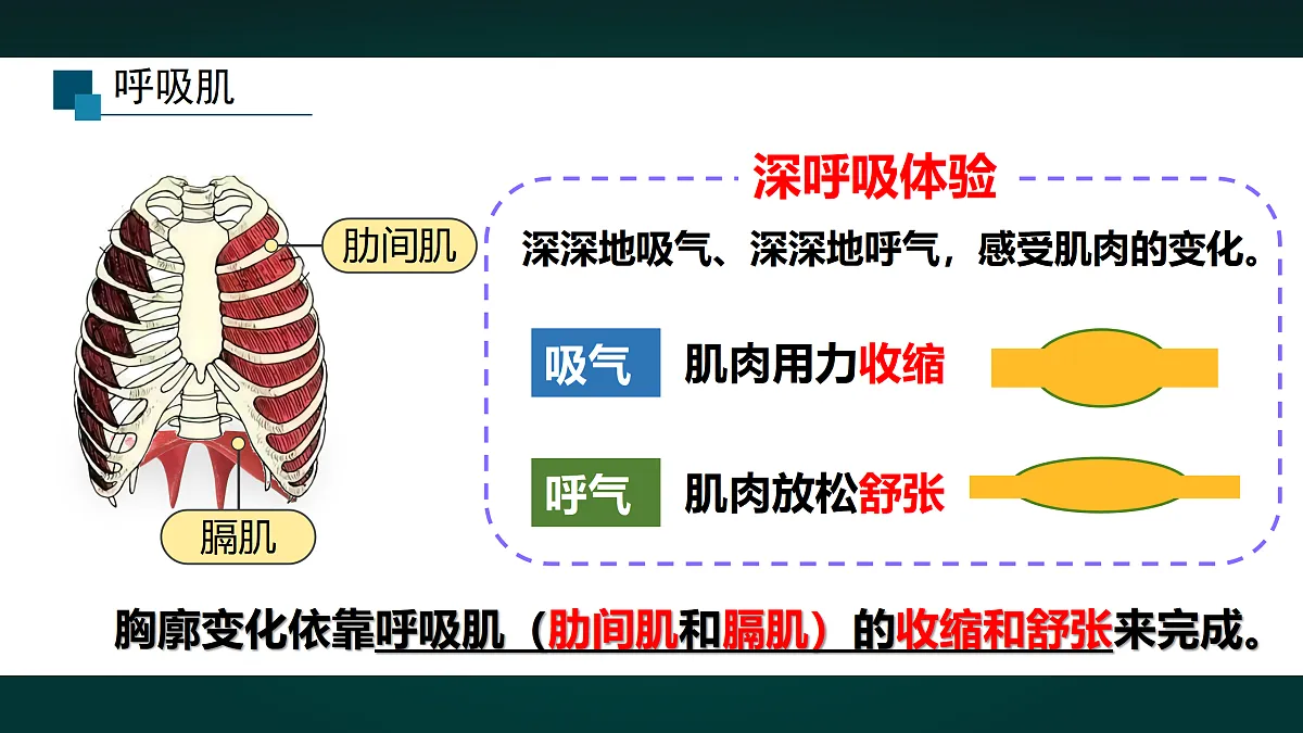 17991884第8页