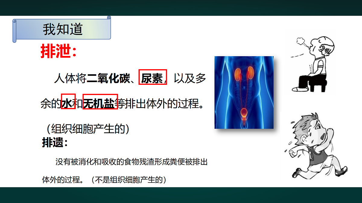 17991889第4页