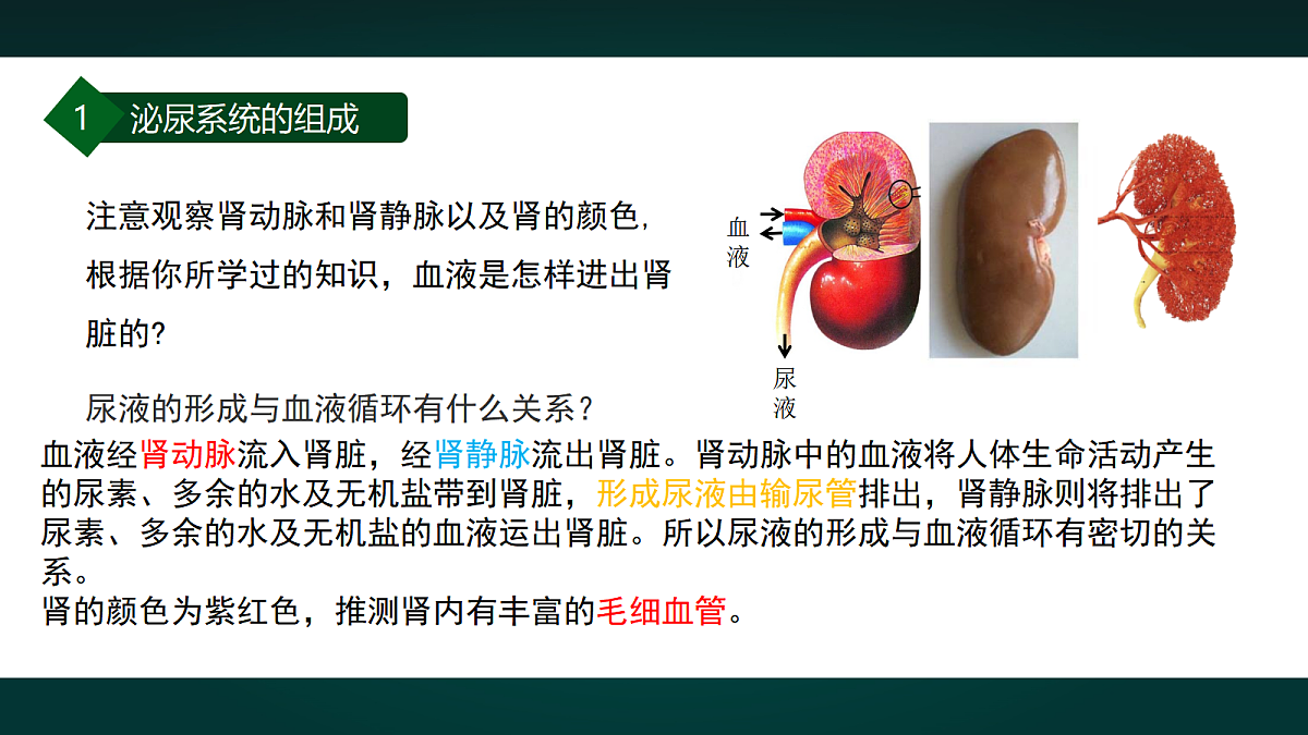 17991889第7页