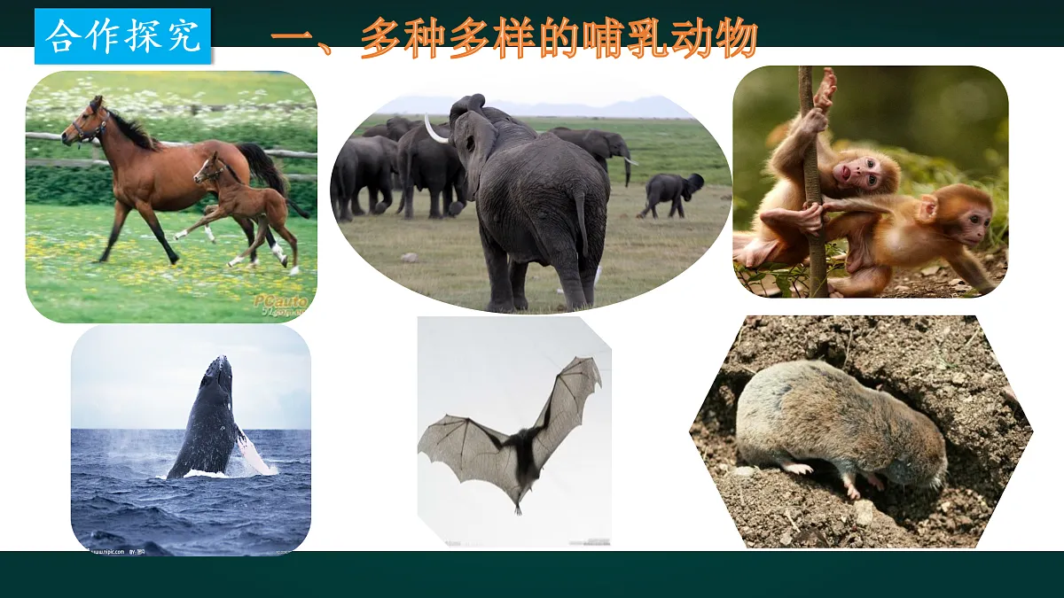 17992024第4页