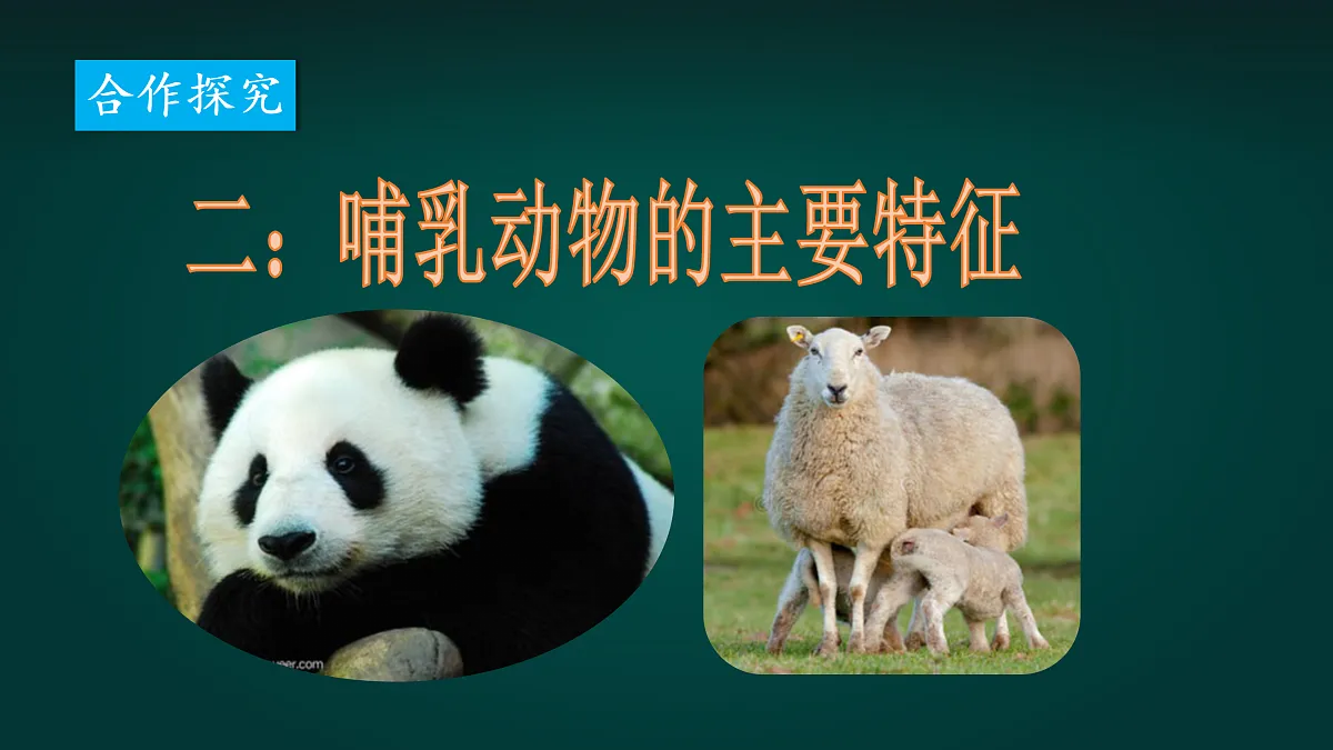 17992024第5页