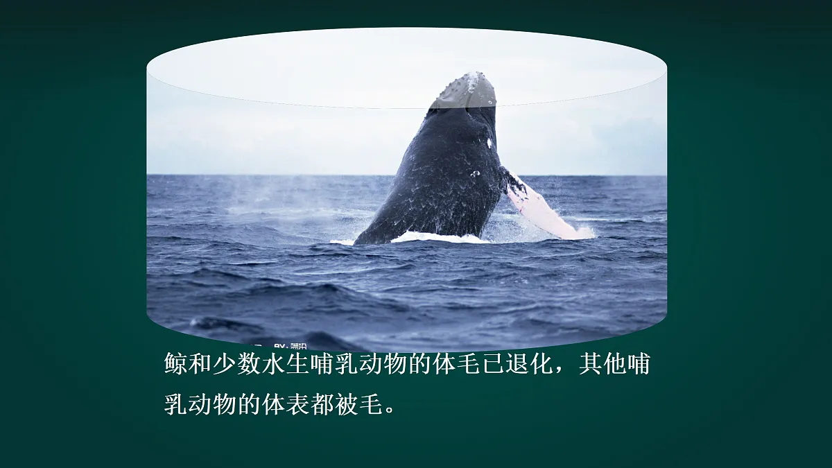 17992024第7页