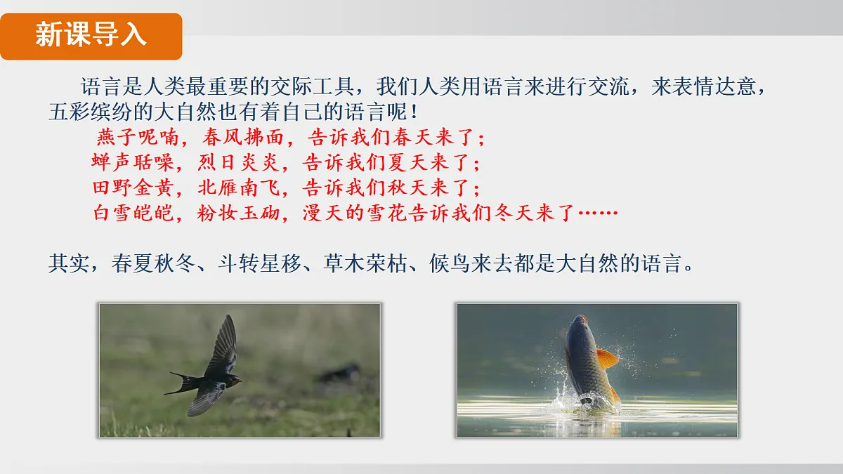 17992067第2页