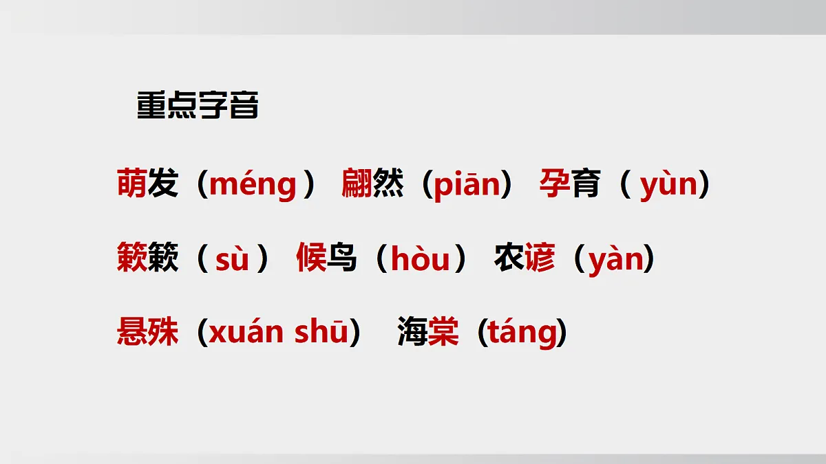 17992067第5页