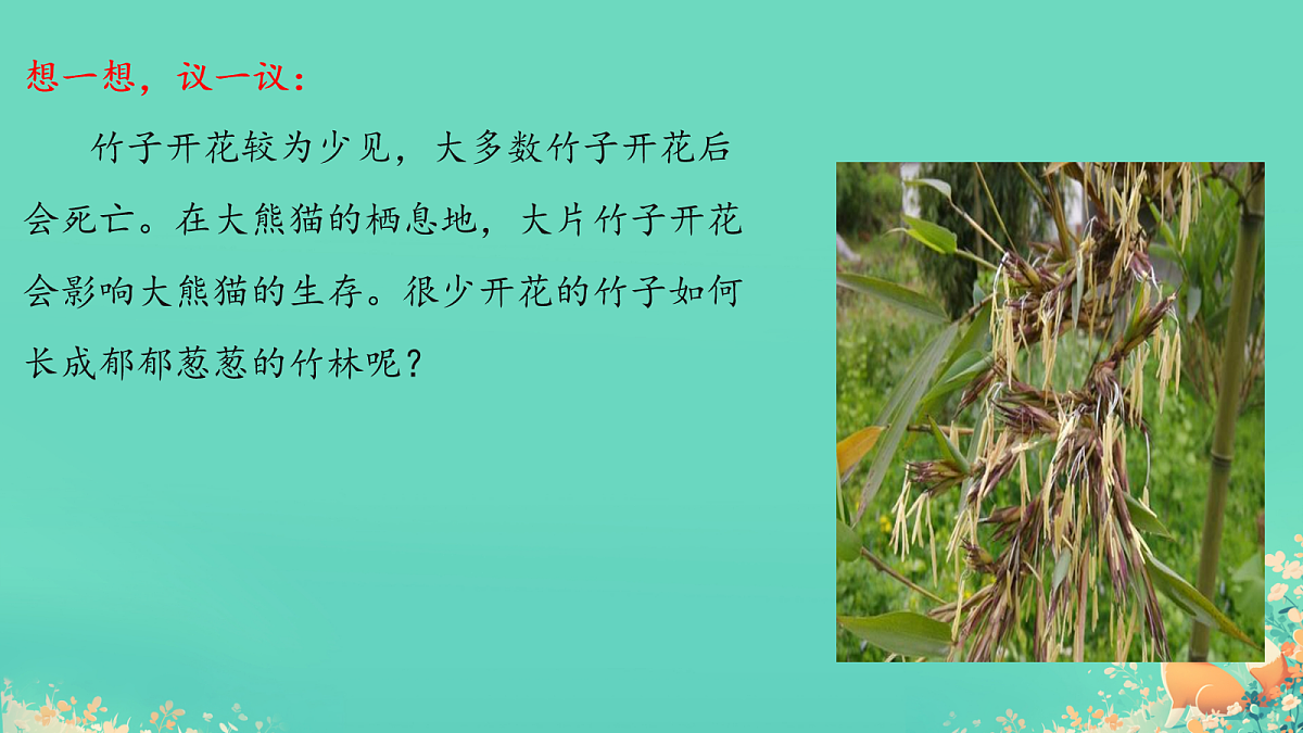 17992891第2页