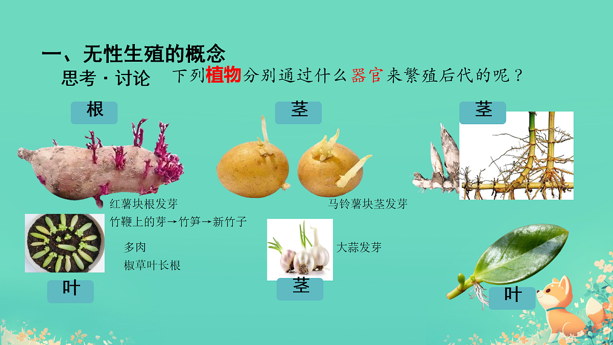 17992891第3页