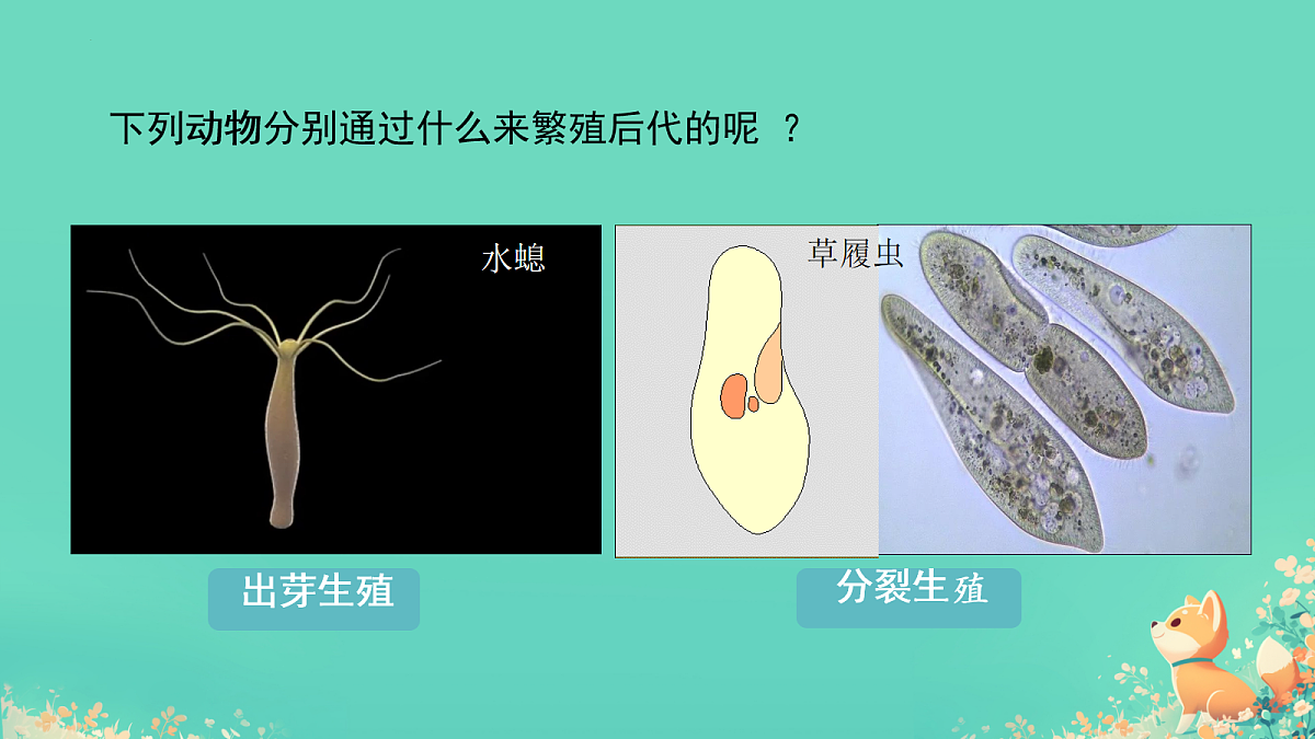 17992891第4页