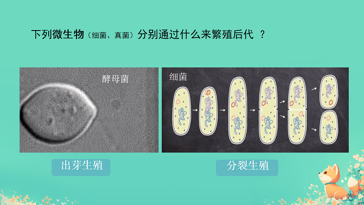 17992891第5页