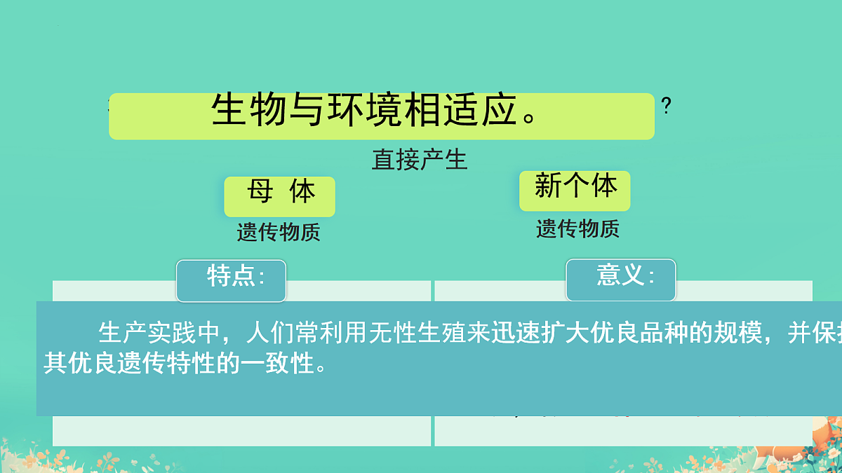 17992891第7页