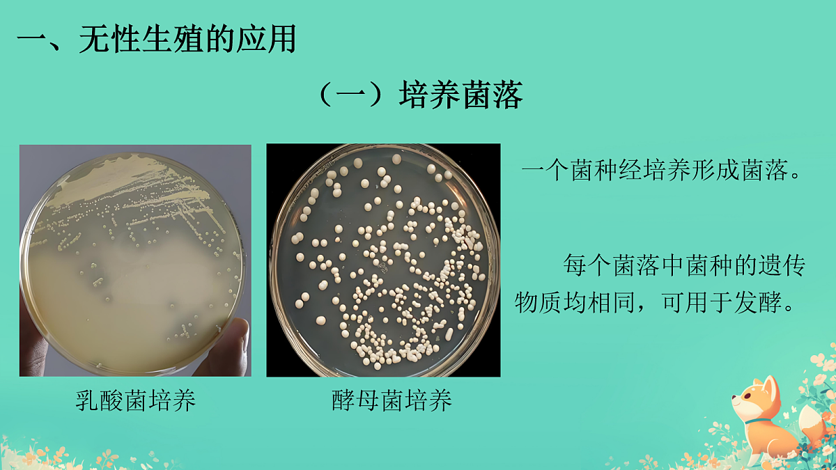 17992891第8页