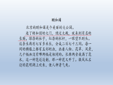 统编版（2024）四年级语文下册第五单元习作例文课件