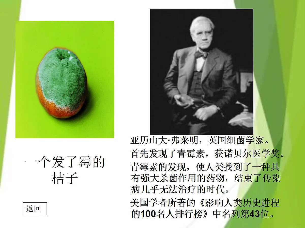 17994329第4页