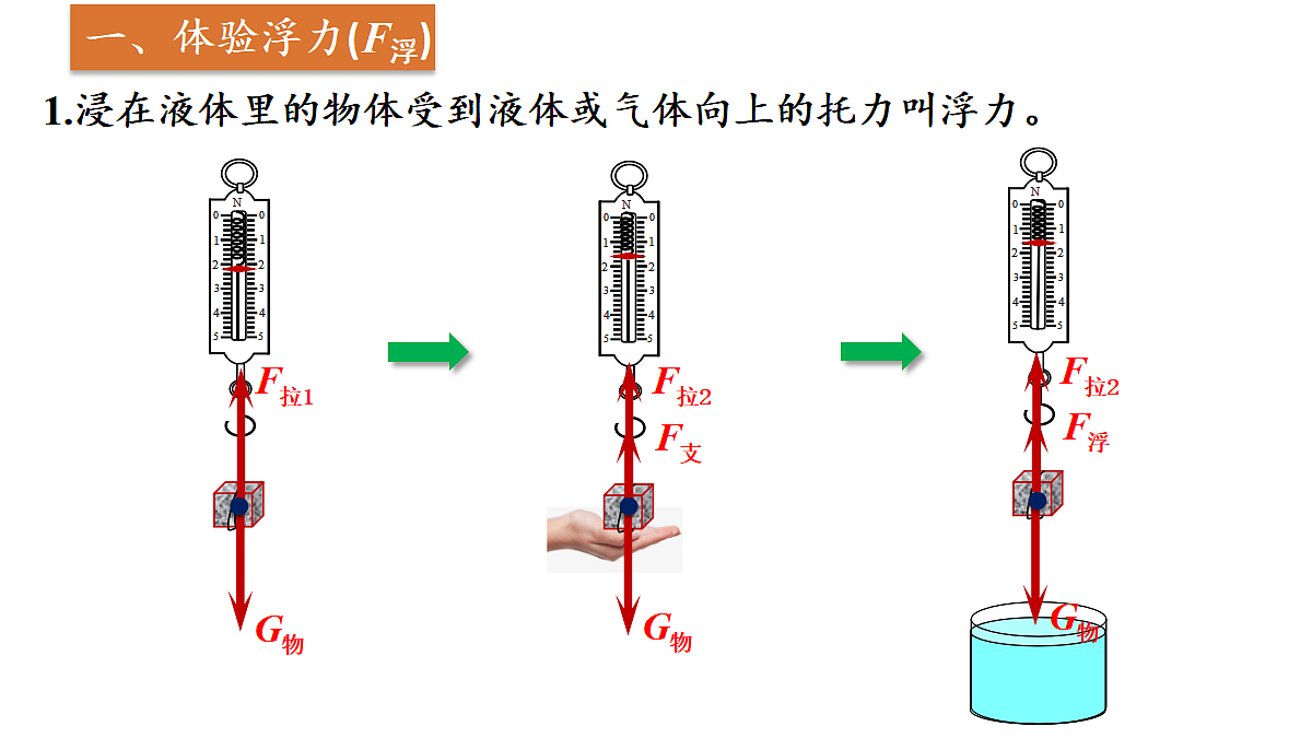 17995161第5页