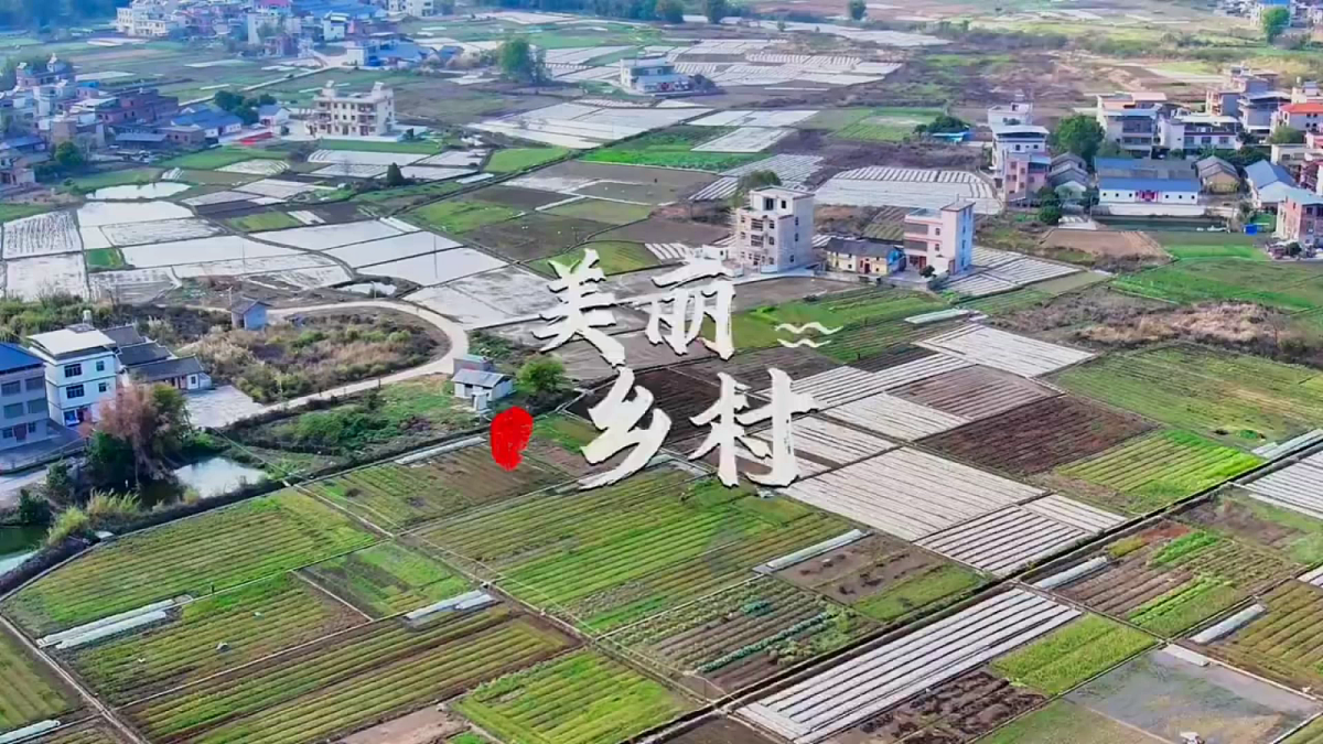 第三单元 3.1远村近舍第2页
