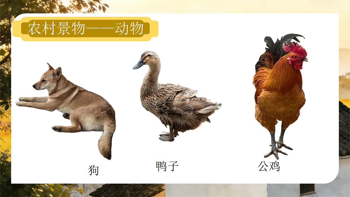 第三单元 3.1远村近舍第7页