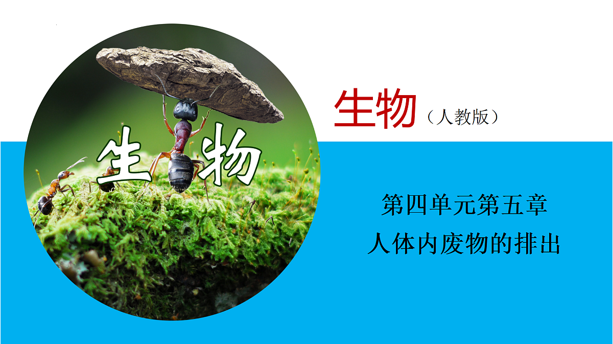 17995443第1页