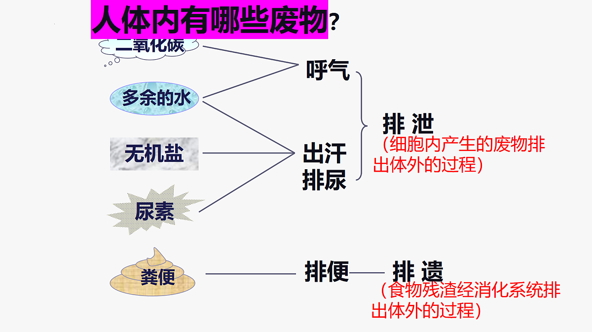 17995443第6页
