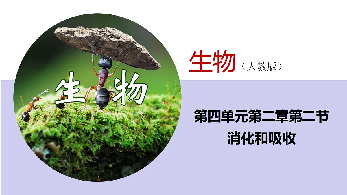 17995652第1页