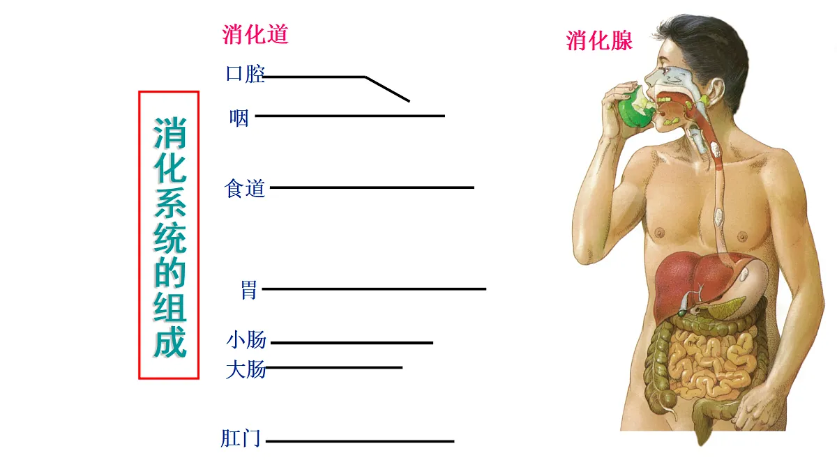 17995652第8页