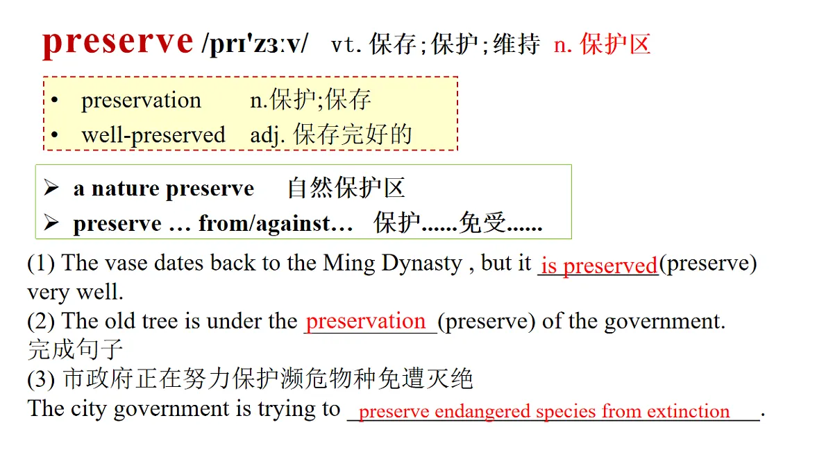 17995713第6页