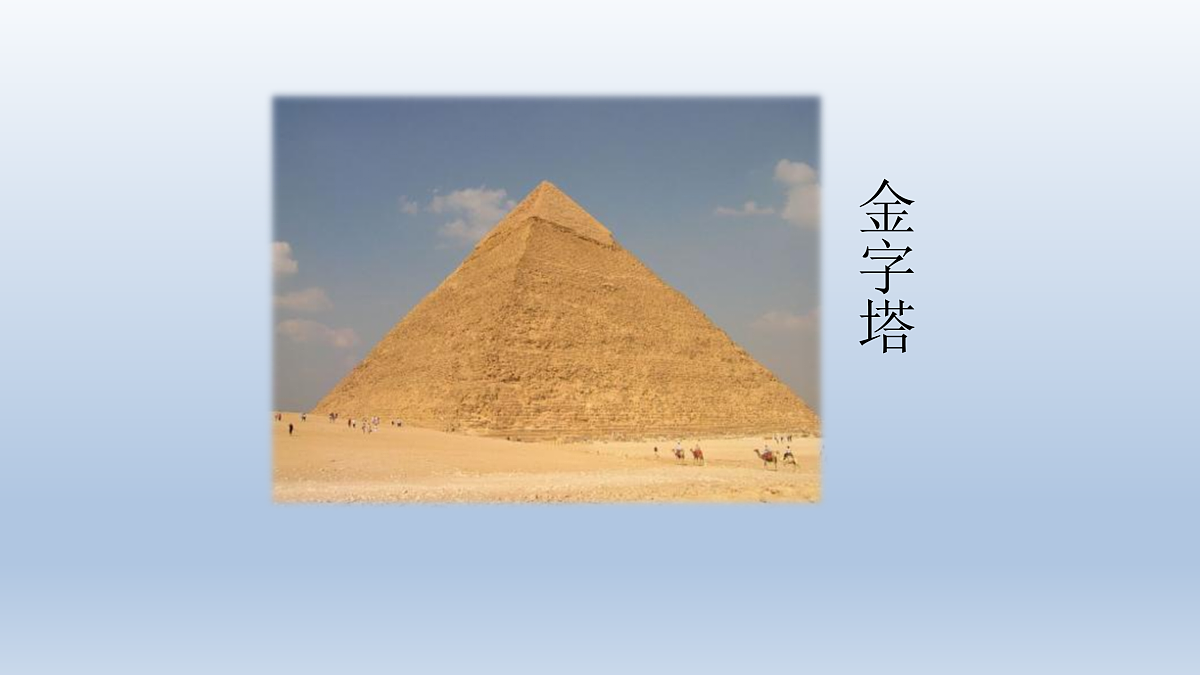 17995755第8页