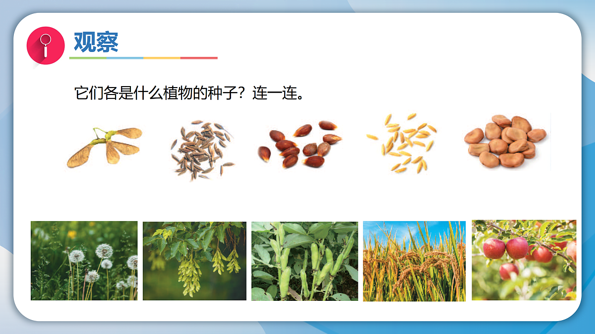17996450第3页