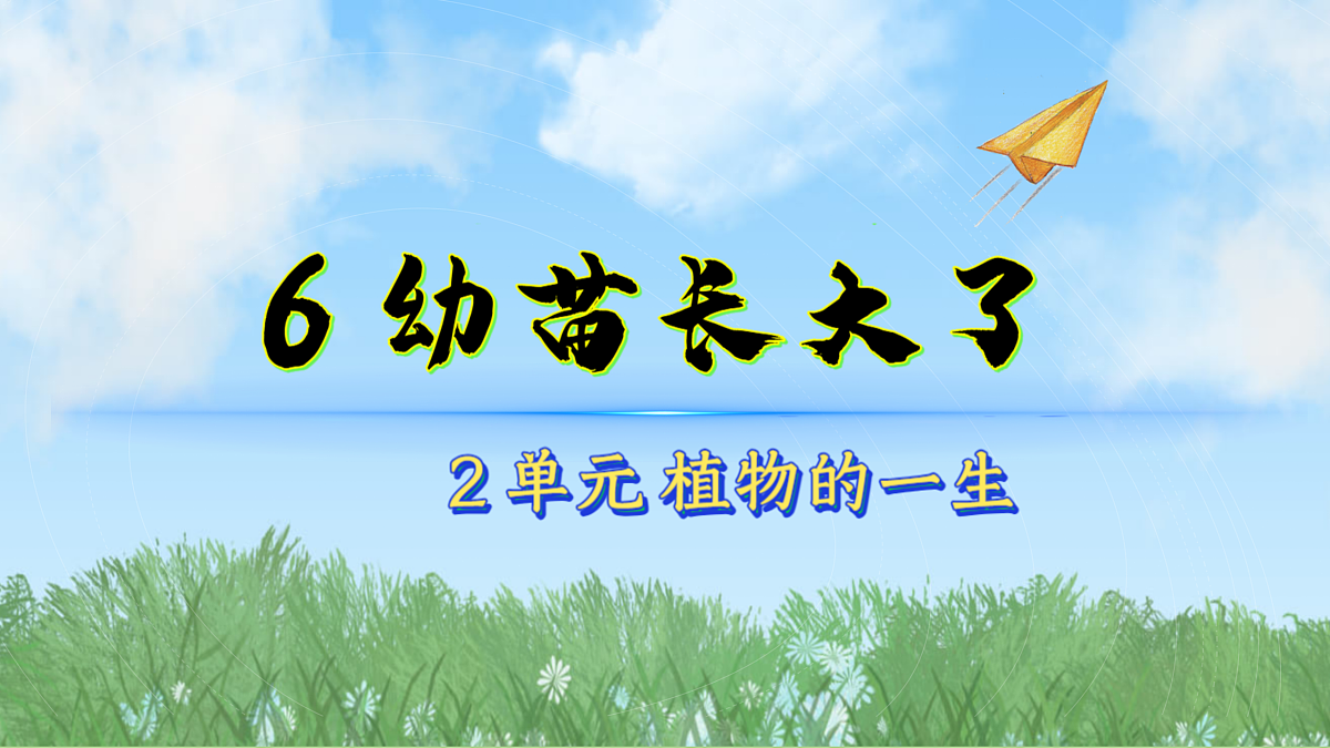 17996451第1页