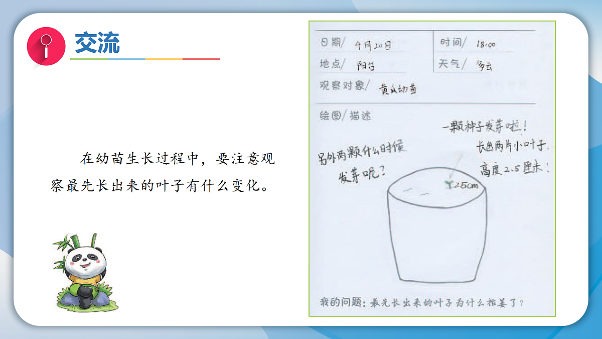 17996451第3页