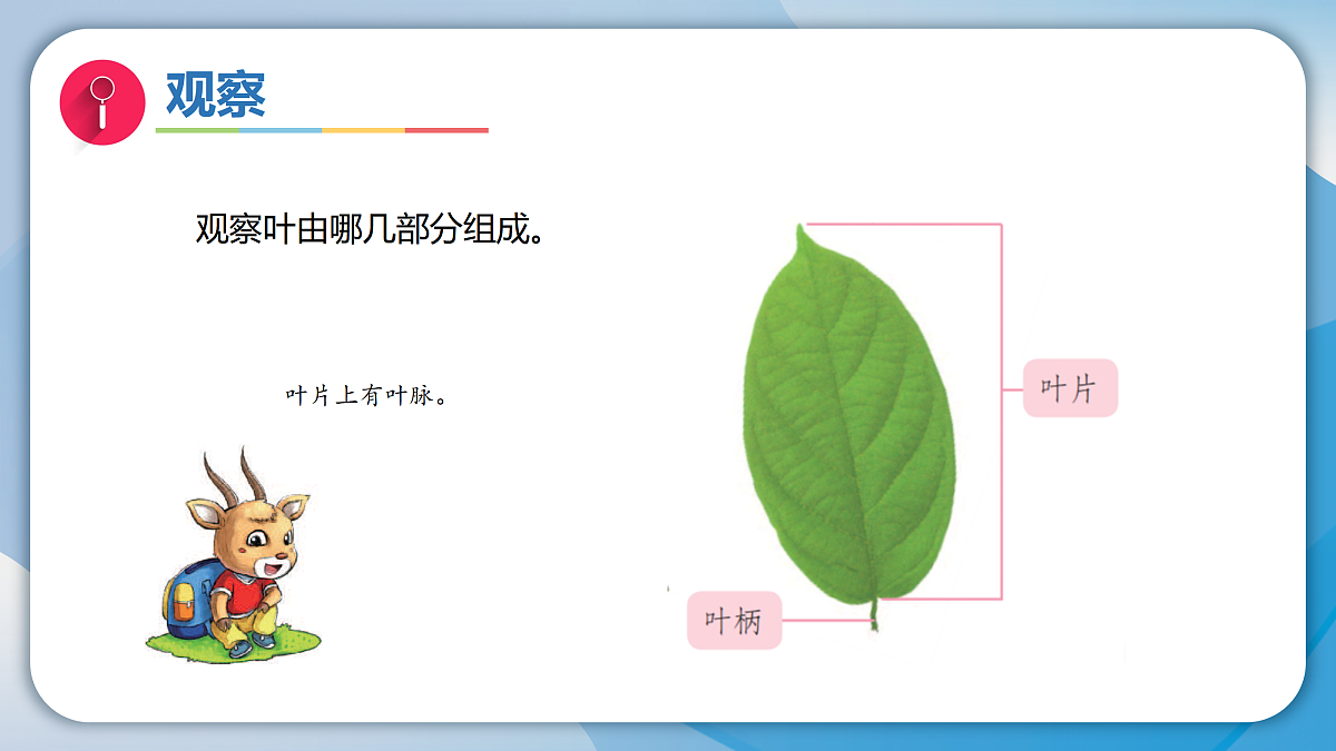 17996451第7页