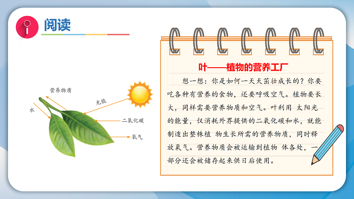 17996451第8页
