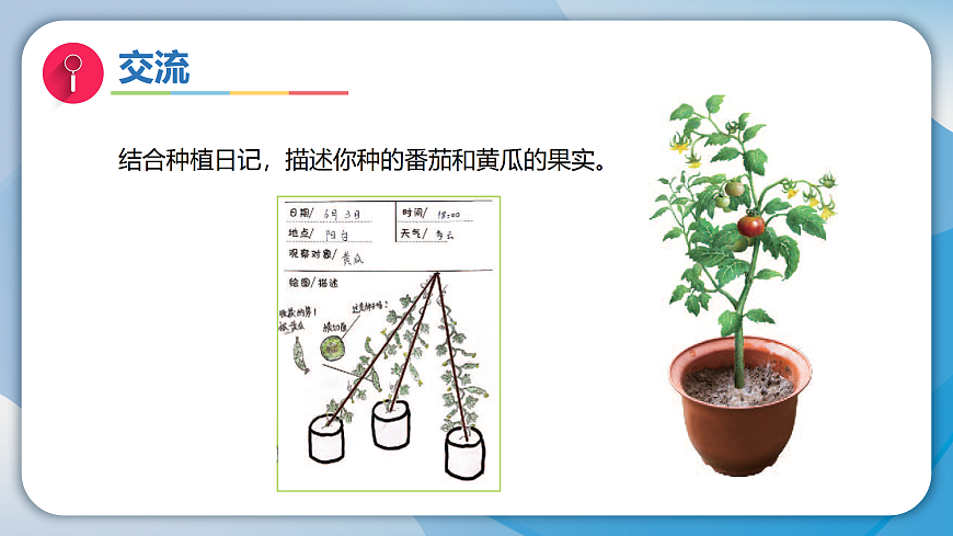 17996453第2页