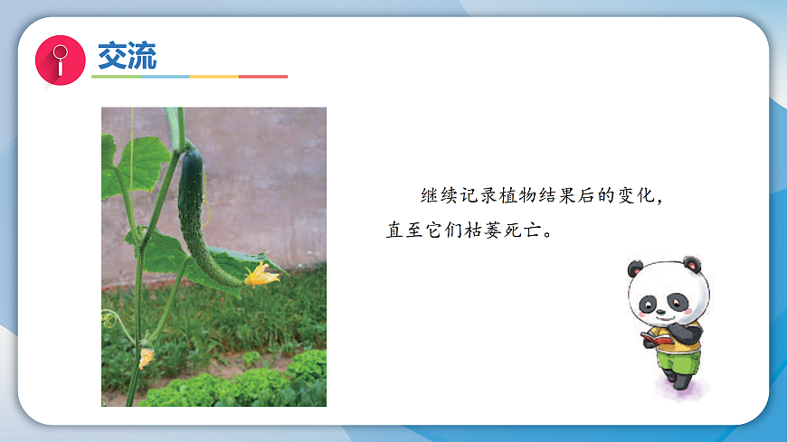 17996453第3页