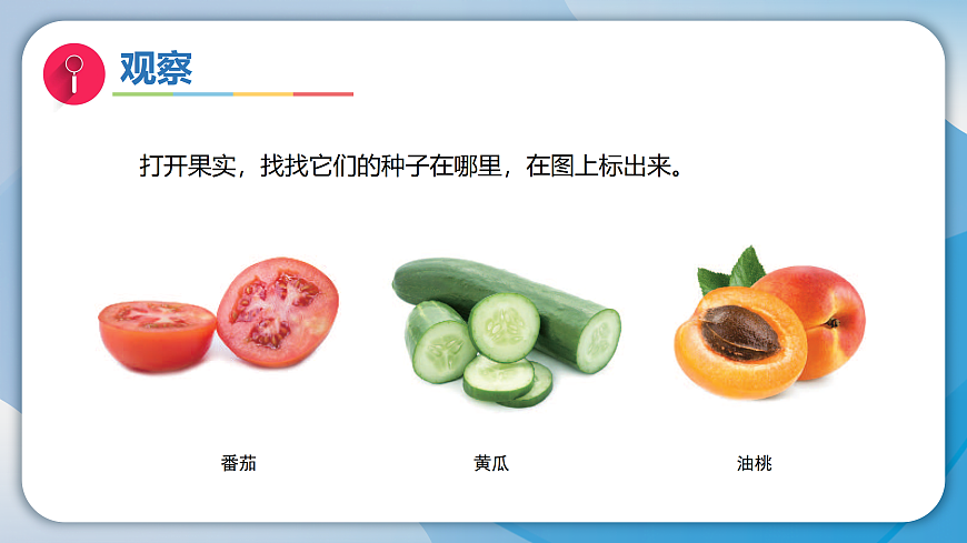 17996453第5页