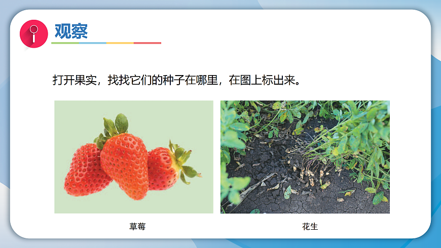 17996453第7页