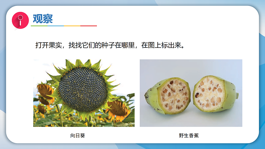 17996453第8页