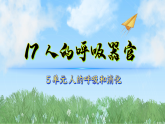 17人的呼吸器官（课件）科学三年级下册（苏教版2024）