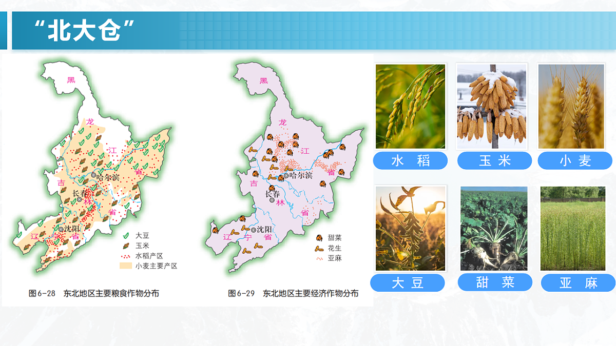 17996632第8页
