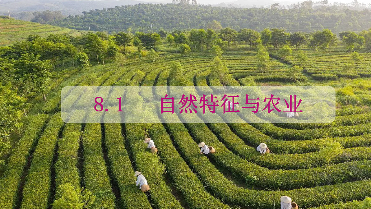 17996635第1页