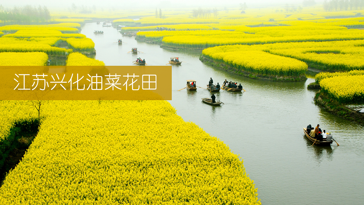 17996635第5页