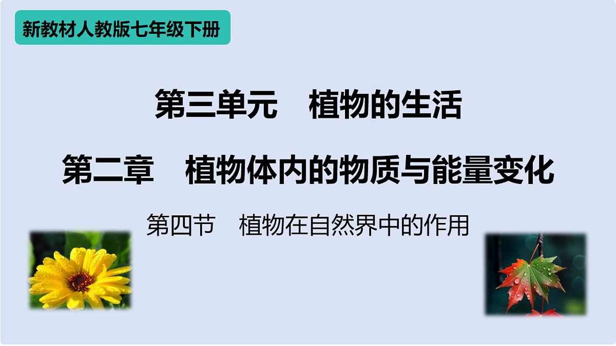 17996644第1页