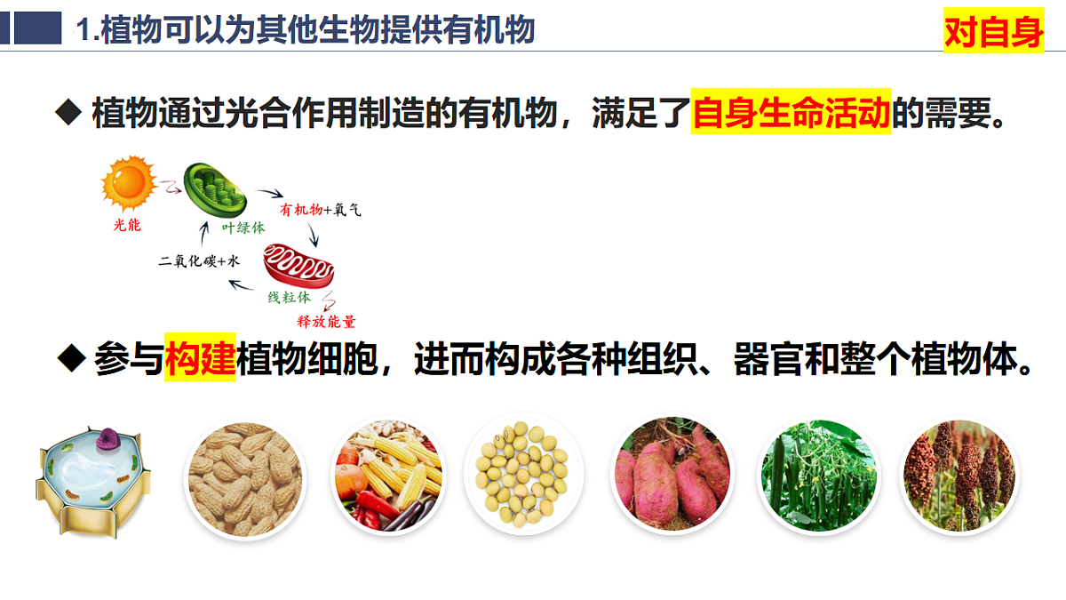 17996644第5页
