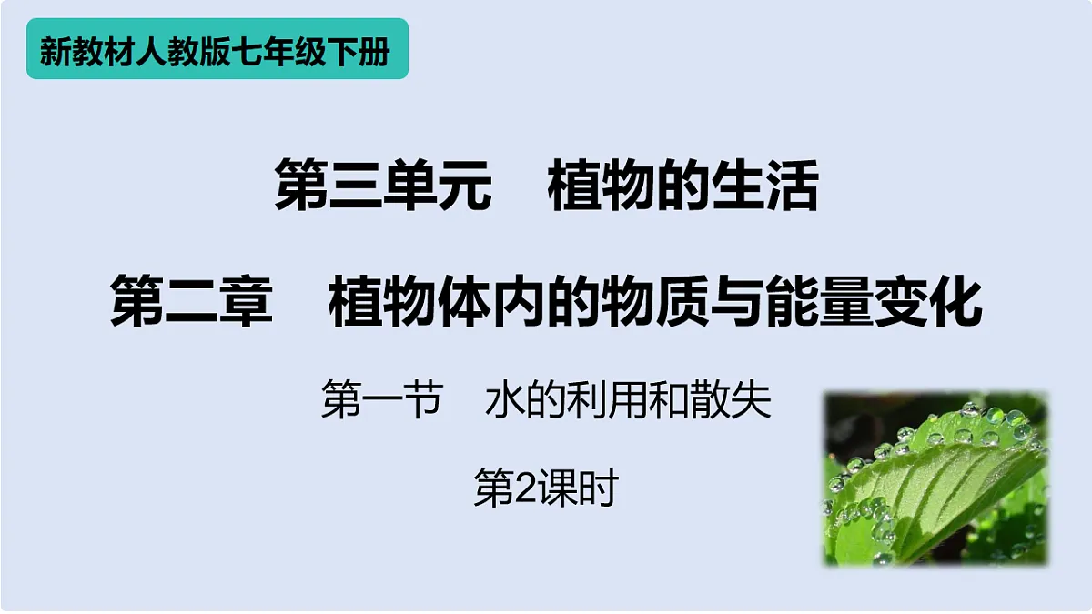 17996817第1页