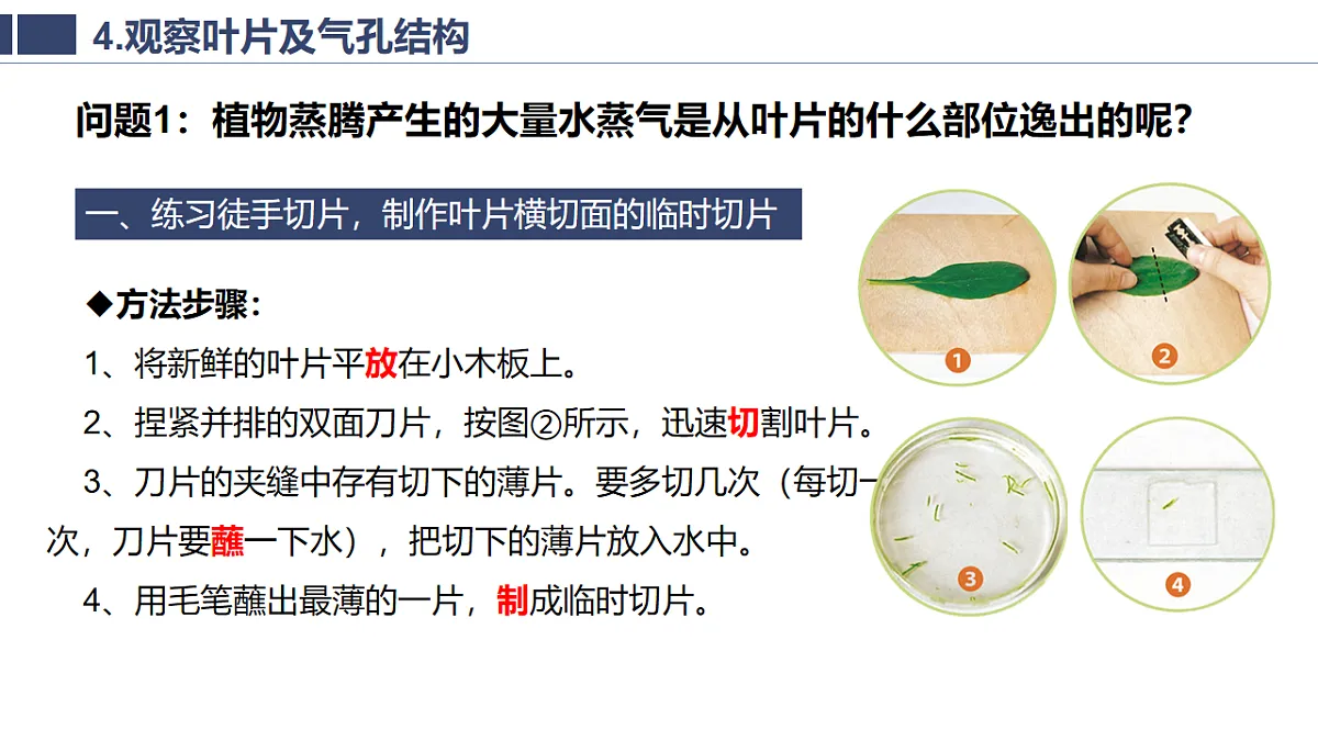 17996817第4页