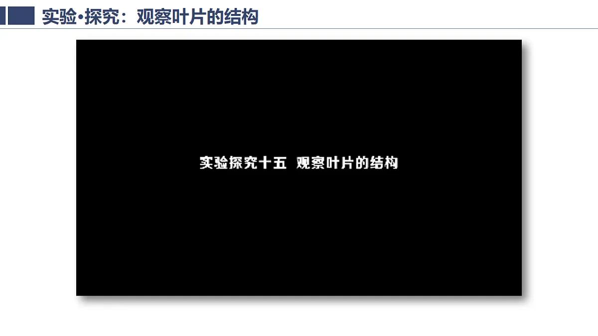 17996817第5页