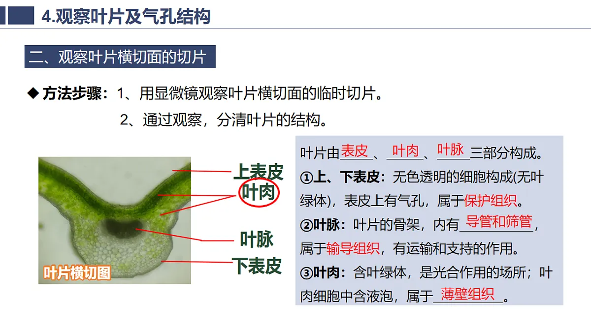 17996817第6页