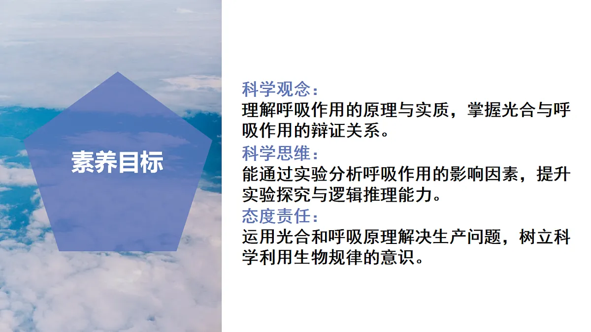 17997163第3页