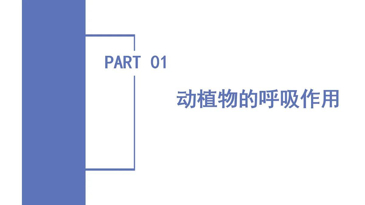 17997163第5页
