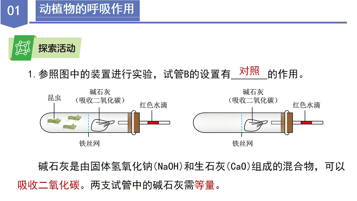 17997163第6页