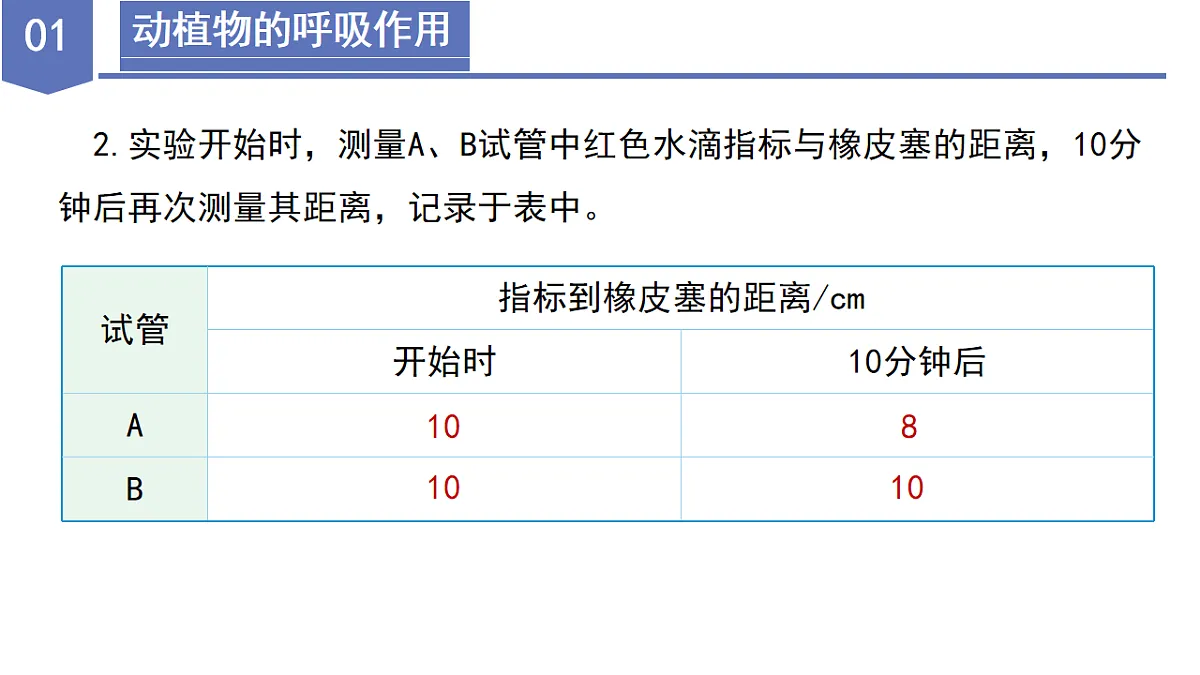 17997163第7页